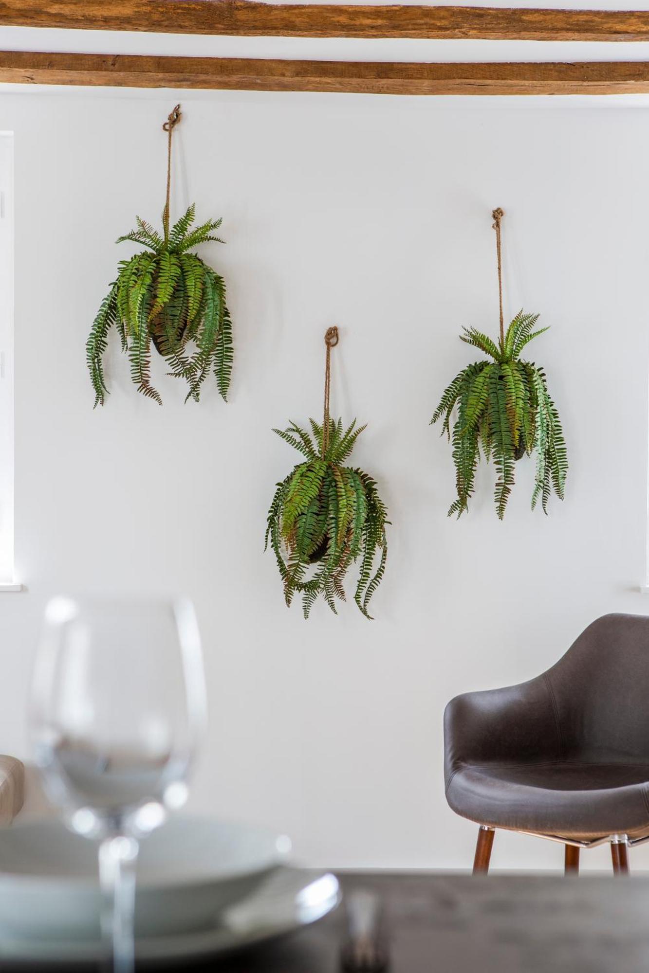Le 31bis Appartement
